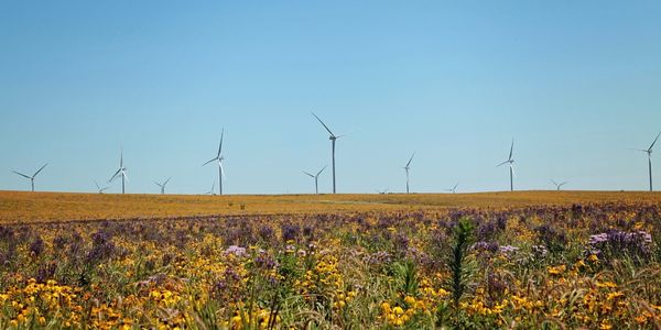 MidAmerican Energy wind farm