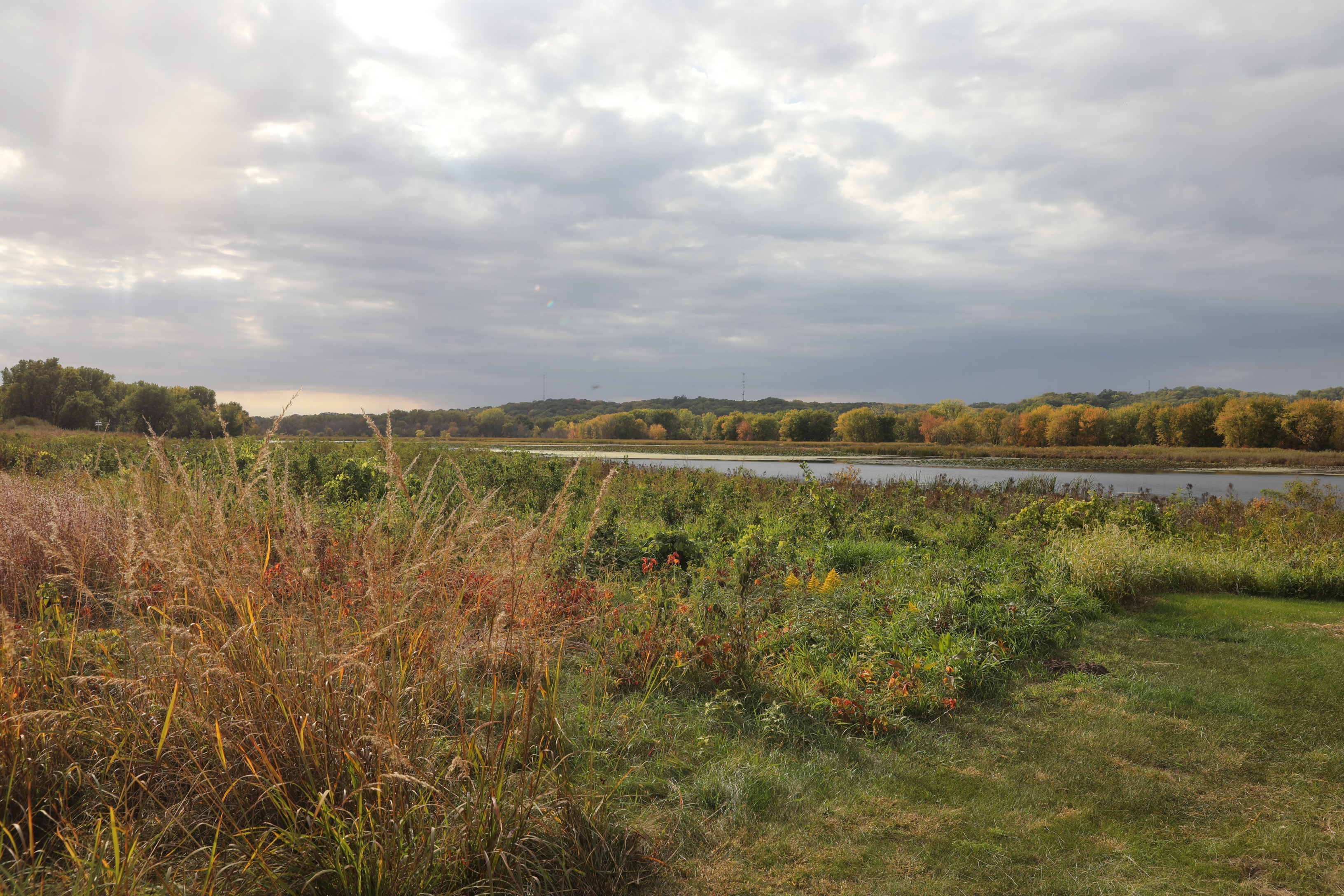 photo of pretty fall day at Nahant Marsh