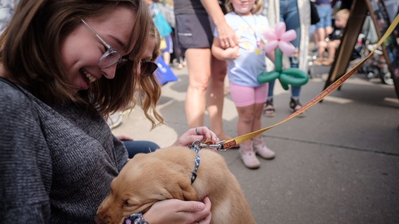 YP petting a puppy at the farmers market - Quad Cities